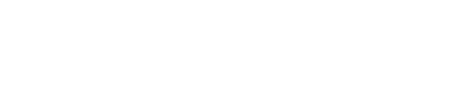 GoView Surveillance