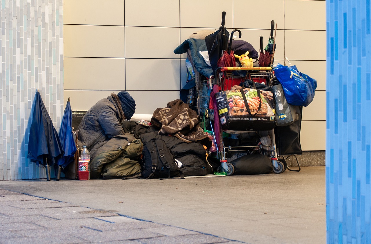 COMBATTING CRIME BY HOMELESS POPULATION